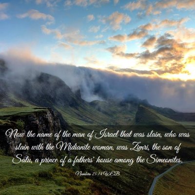 Picture 03 - Numbers 25:14 WEB - Now the name of the man of Israel that was slain, - Bible Verse Picture