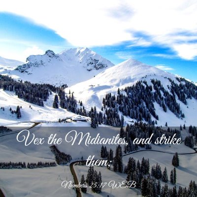 Picture 03 - Numbers 25:17 WEB - Vex the Midianites, and strike - Bible Verse Picture