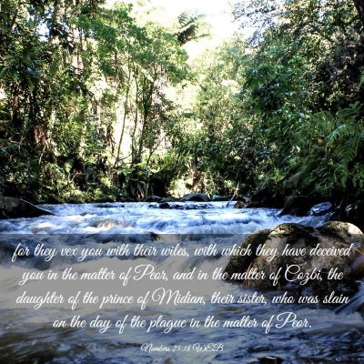 Picture 03 - Numbers 25:18 WEB - for they vex you with their wiles, with which - Bible Verse Picture