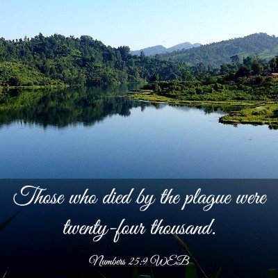 Picture 03 - Numbers 25:9 WEB - Those who died by the plague were twenty-four - Bible Verse Picture