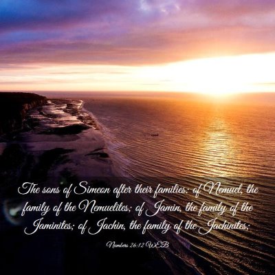 Picture 03 - Numbers 26:12 WEB - The sons of Simeon after their families: of - Bible Verse Picture