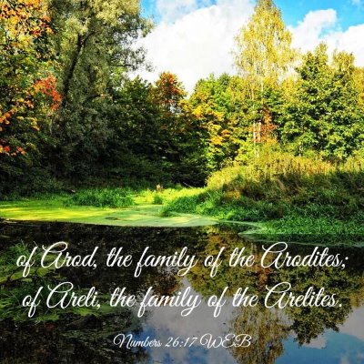 Picture 03 - Numbers 26:17 WEB - of Arod, the family of the Arodites; of Areli, - Bible Verse Picture