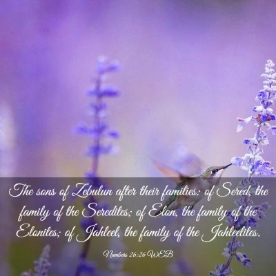 Picture 03 - Numbers 26:26 WEB - The sons of Zebulun after their families: of - Bible Verse Picture