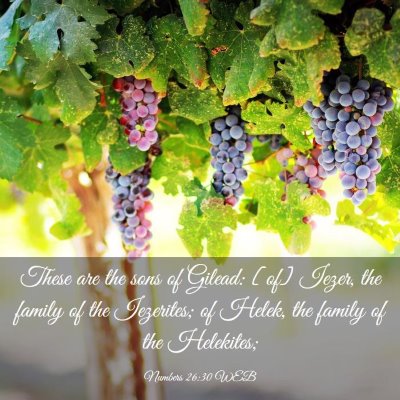 Picture 03 - Numbers 26:30 WEB - These are the sons of Gilead: [of] Iezer, the - Bible Verse Picture