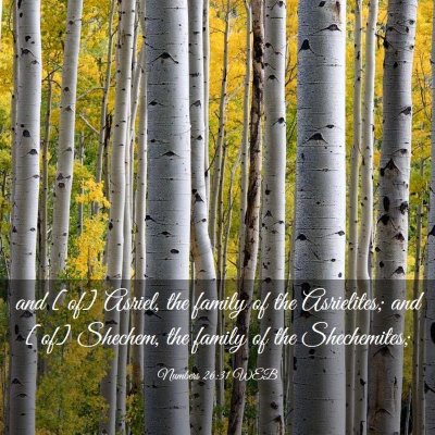 Picture 03 - Numbers 26:31 WEB - and [of] Asriel, the family of the Asrielites; - Bible Verse Picture