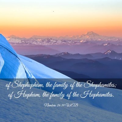Picture 03 - Numbers 26:39 WEB - of Shephupham, the family of the Shuphamites; of - Bible Verse Picture