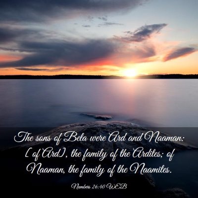 Picture 03 - Numbers 26:40 WEB - The sons of Bela were Ard and Naaman: [of Ard], - Bible Verse Picture