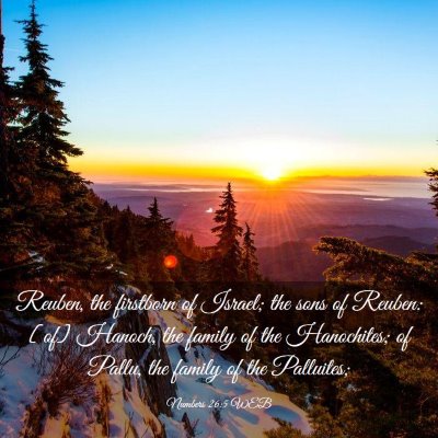 Picture 03 - Numbers 26:5 WEB - Reuben, the firstborn of Israel; the sons of - Bible Verse Picture