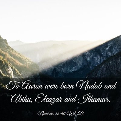 Picture 03 - Numbers 26:60 WEB - To Aaron were born Nadab and Abihu, Eleazar and - Bible Verse Picture