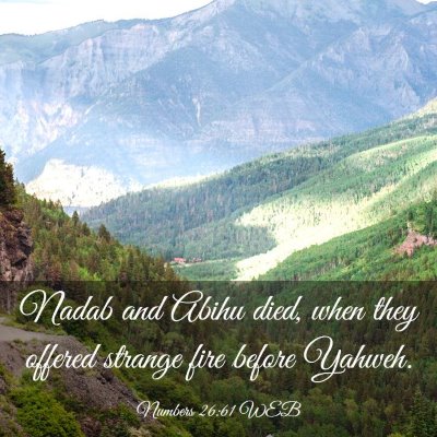 Picture 03 - Numbers 26:61 WEB - Nadab and Abihu died, when they offered strange - Bible Verse Picture