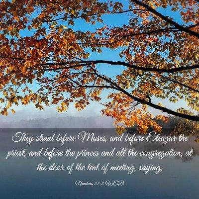 Picture 03 - Numbers 27:2 WEB - They stood before Moses, and before Eleazar the - Bible Verse Picture