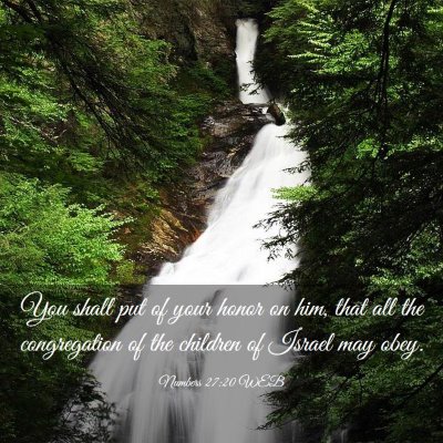 Picture 03 - Numbers 27:20 WEB - You shall put of your honor on him, that all the - Bible Verse Picture