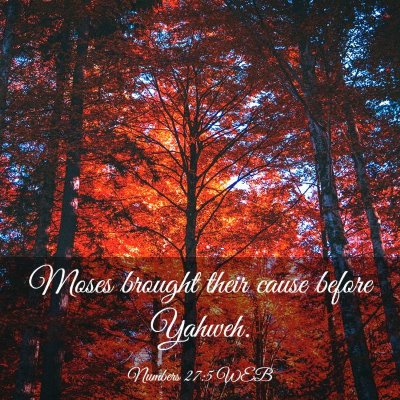 Picture 03 - Numbers 27:5 WEB - Moses brought their cause before - Bible Verse Picture