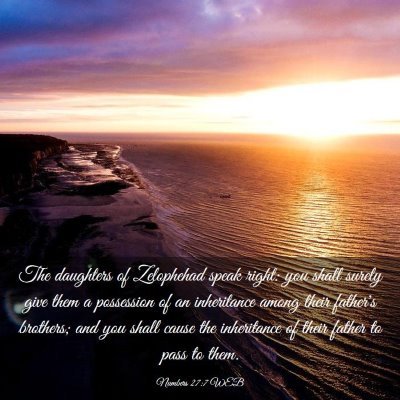 Picture 03 - Numbers 27:7 WEB - The daughters of Zelophehad speak right: you - Bible Verse Picture