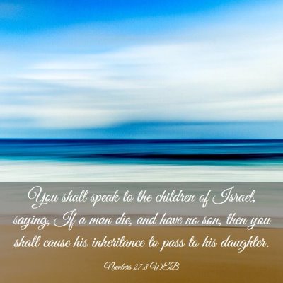 Picture 03 - Numbers 27:8 WEB - You shall speak to the children of Israel, - Bible Verse Picture