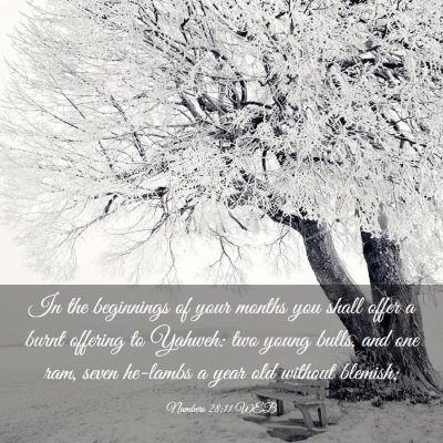 Picture 03 - Numbers 28:11 WEB - In the beginnings of your months you shall offer - Bible Verse Picture