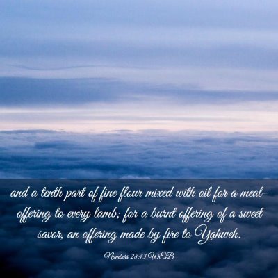 Picture 03 - Numbers 28:13 WEB - and a tenth part of fine flour mixed with oil for - Bible Verse Picture