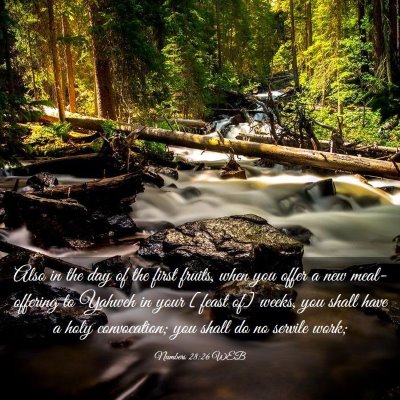 Picture 03 - Numbers 28:26 WEB - Also in the day of the first fruits, when you - Bible Verse Picture