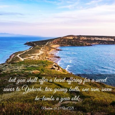 Picture 03 - Numbers 28:27 WEB - but you shall offer a burnt offering for a sweet - Bible Verse Picture