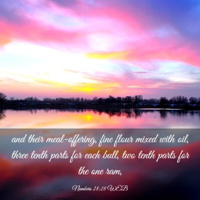 Picture 03 - Numbers 28:28 WEB - and their meal-offering, fine flour mixed with - Bible Verse Picture