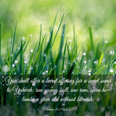 Picture 03 - Numbers 29:2 WEB - You shall offer a burnt offering for a sweet - Bible Verse Picture