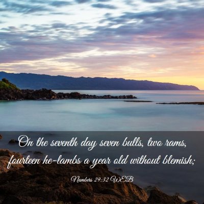 Picture 03 - Numbers 29:32 WEB - On the seventh day seven bulls, two rams, - Bible Verse Picture
