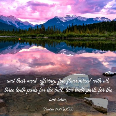 Picture 03 - Numbers 29:9 WEB - and their meal-offering, fine flour mixed with - Bible Verse Picture