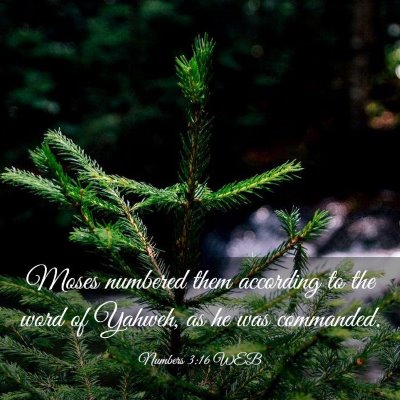 Picture 03 - Numbers 3:16 WEB - Moses numbered them according to the word of - Bible Verse Picture