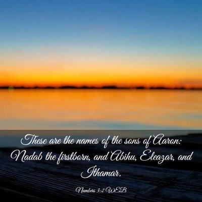 Picture 03 - Numbers 3:2 WEB - These are the names of the sons of Aaron: Nadab - Bible Verse Picture