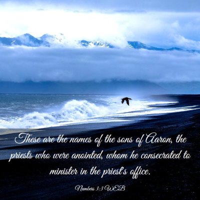 Picture 03 - Numbers 3:3 WEB - These are the names of the sons of Aaron, the - Bible Verse Picture