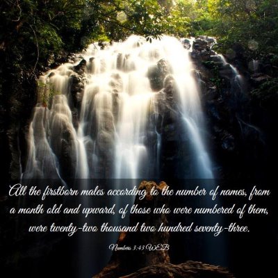 Picture 03 - Numbers 3:43 WEB - All the firstborn males according to the number - Bible Verse Picture