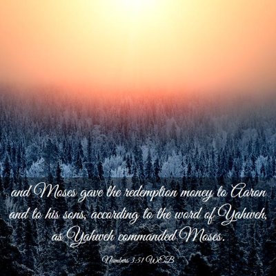 Picture 03 - Numbers 3:51 WEB - and Moses gave the redemption money to Aaron and - Bible Verse Picture