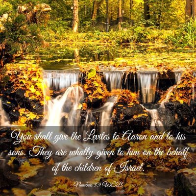 Picture 03 - Numbers 3:9 WEB - You shall give the Levites to Aaron and to his - Bible Verse Picture