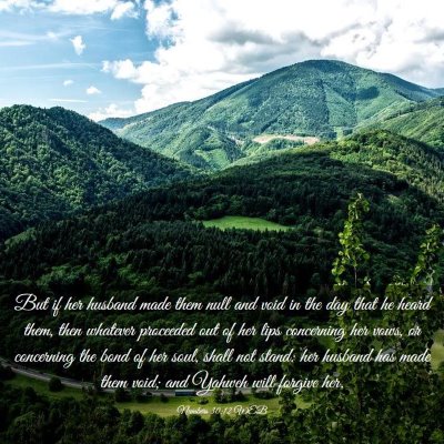 Picture 03 - Numbers 30:12 WEB - But if her husband made them null and void in the - Bible Verse Picture