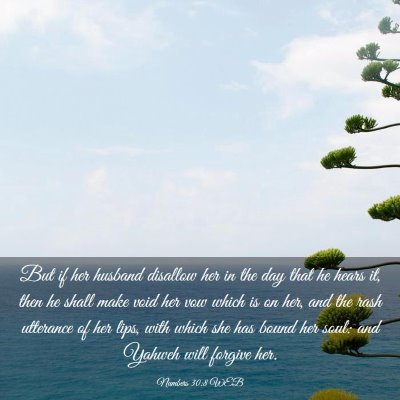 Picture 03 - Numbers 30:8 WEB - But if her husband disallow her in the day that - Bible Verse Picture