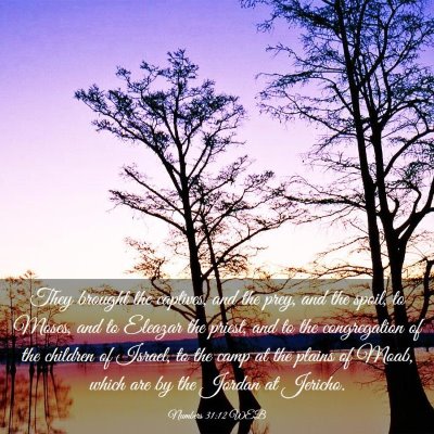 Picture 03 - Numbers 31:12 WEB - They brought the captives, and the prey, and the - Bible Verse Picture