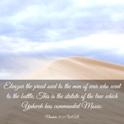Picture 03 - Numbers 31:21 WEB - Eleazar the priest said to the men of war who - Bible Verse Picture
