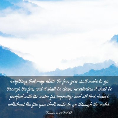 Picture 03 - Numbers 31:23 WEB - everything that may abide the fire, you shall - Bible Verse Picture