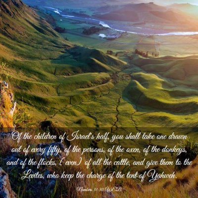 Picture 03 - Numbers 31:30 WEB - Of the children of Israel's half, you shall take - Bible Verse Picture