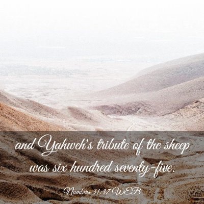 Picture 03 - Numbers 31:37 WEB - and Yahweh's tribute of the sheep was six hundred - Bible Verse Picture