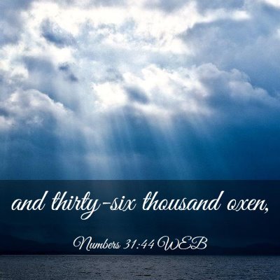 Picture 03 - Numbers 31:44 WEB - and thirty-six thousand - Bible Verse Picture