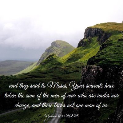 Picture 03 - Numbers 31:49 WEB - and they said to Moses, Your servants have taken - Bible Verse Picture