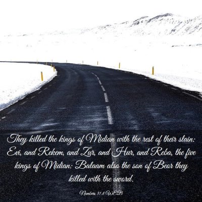 Picture 03 - Numbers 31:8 WEB - They killed the kings of Midian with the rest of - Bible Verse Picture