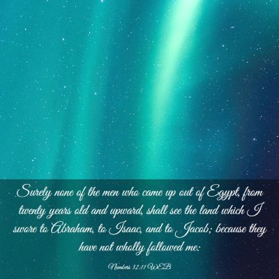 Picture 03 - Numbers 32:11 WEB - Surely none of the men who came up out of Egypt, - Bible Verse Picture