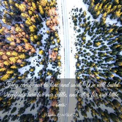 Picture 03 - Numbers 32:16 WEB - They came near to him, and said, We will build - Bible Verse Picture