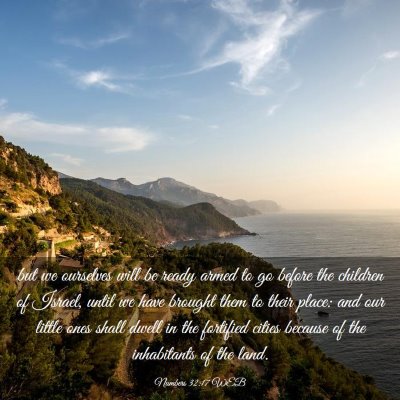 Picture 03 - Numbers 32:17 WEB - but we ourselves will be ready armed to go before - Bible Verse Picture