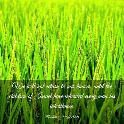 Picture 03 - Numbers 32:18 WEB - We will not return to our houses, until the - Bible Verse Picture