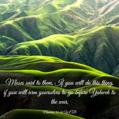 Picture 03 - Numbers 32:20 WEB - Moses said to them, If you will do this thing, if - Bible Verse Picture
