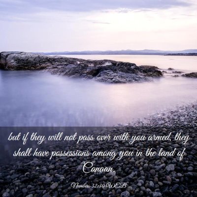 Picture 03 - Numbers 32:30 WEB - but if they will not pass over with you armed, - Bible Verse Picture
