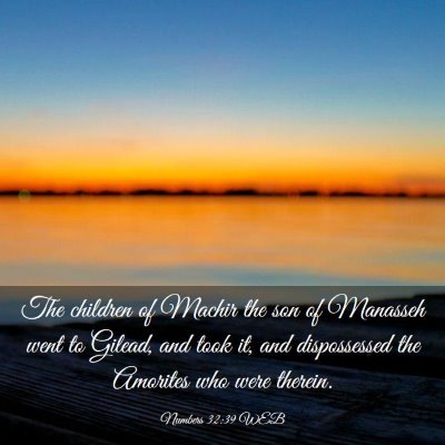 Picture 03 - Numbers 32:39 WEB - The children of Machir the son of Manasseh went - Bible Verse Picture